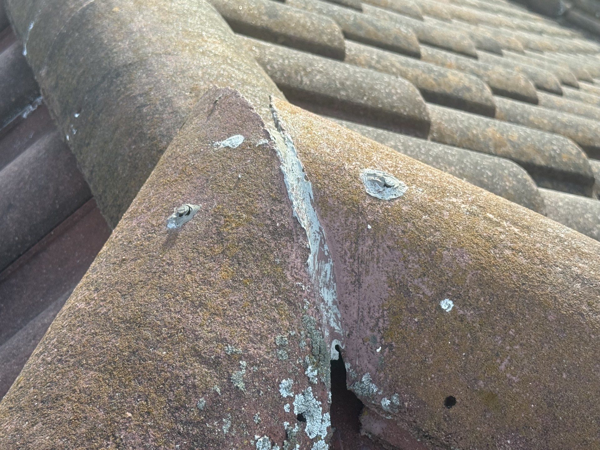 storm damage roof repair Austin TX, golf ball hail and a bruised Owens Corning shingle from the May 28 2025 storm in Round Rock, Holden Roofing Austin hail damage roof repair serving Round Rock, Pflugerville, Cedar Park and Georgetown